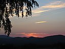 IMG_1402